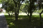 stadsparken_1