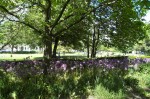 stadsparken_2